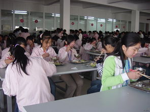 惠州新圩鎮(zhèn)約場(chǎng)長(zhǎng)和工業(yè)園